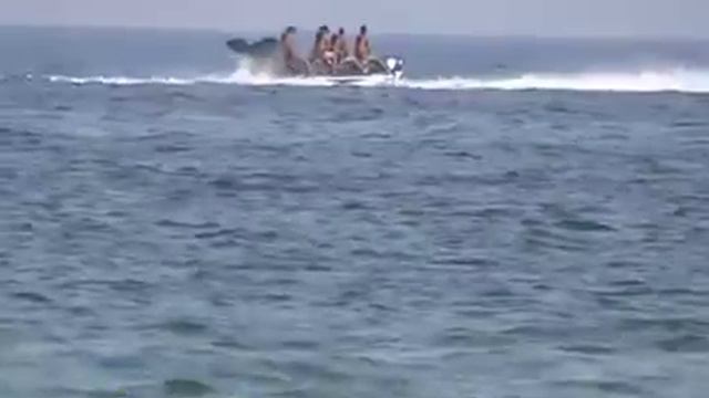 Водный, буксируемый аттракцион "Касатка"