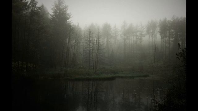 КАВЕР НА ПЕСНЮ СКАЗКА смотреть онлайн