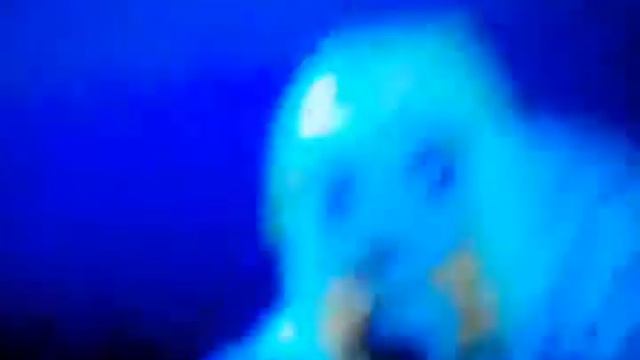 Самое ужасное видео у девочки по имени Настя смотреть онлайн