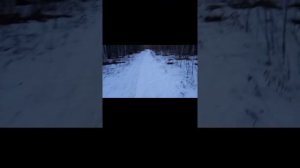 тест драйв вездехода борус, покатушки.