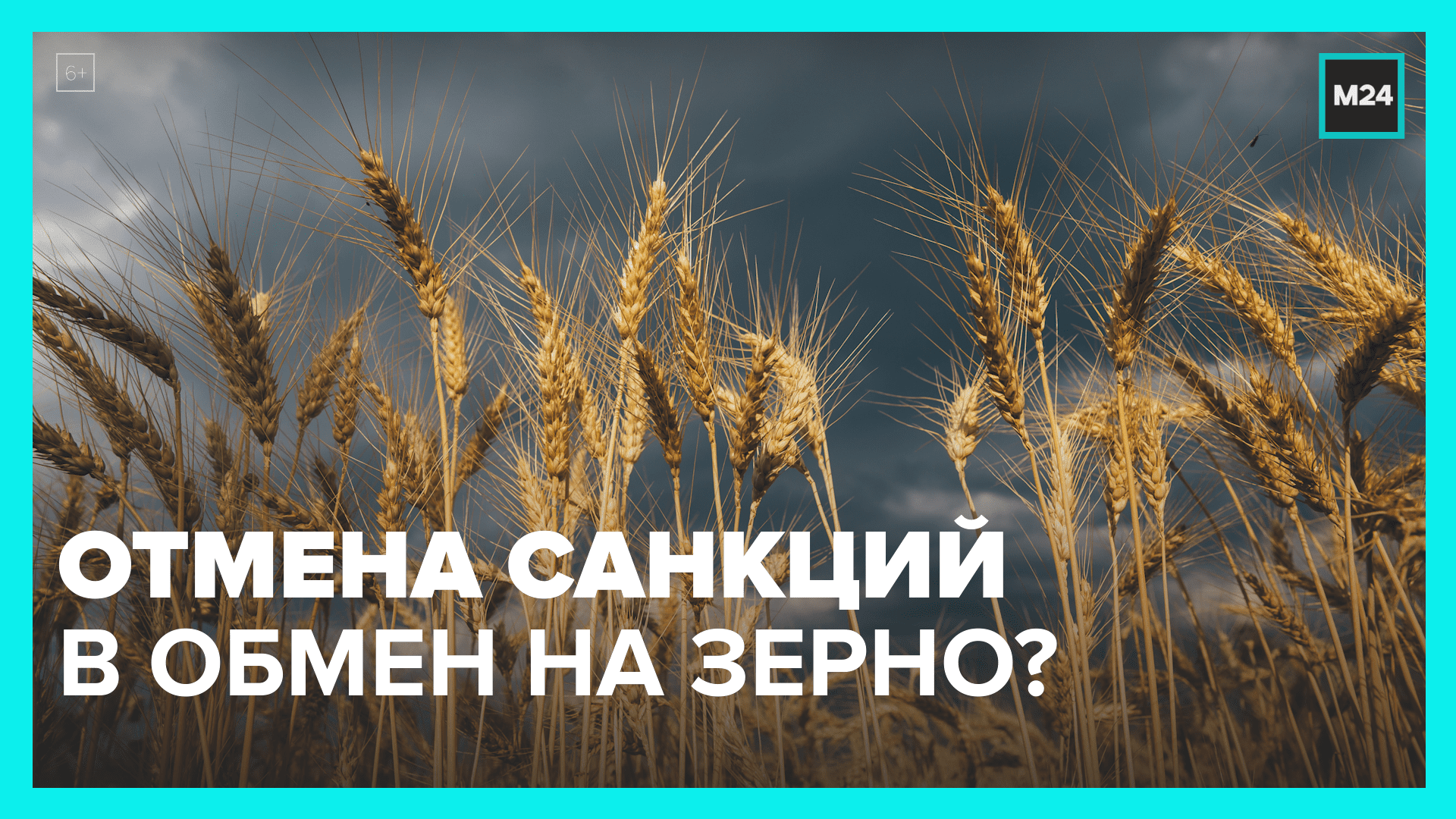 Став зерно. Зерно становится деревом.