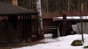 Арбористика обучение. Завешивание веревки с помощью большой рогатки.