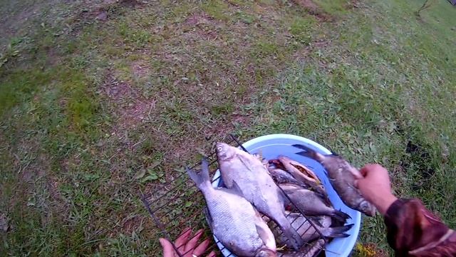 Быстрое копчение рыбы!!! смотреть онлайн