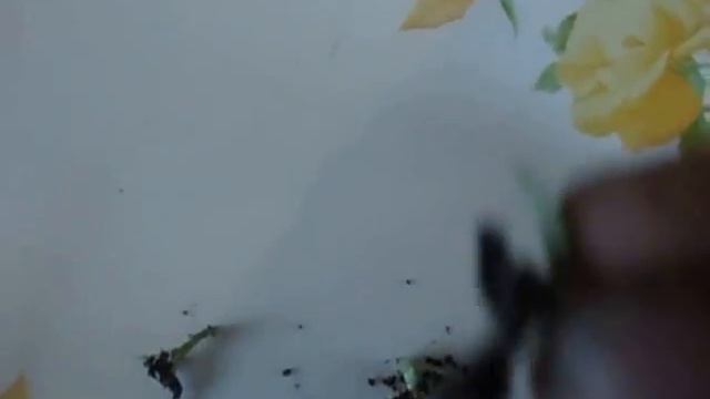 ГАЙЛАРДИЯ ВЗОШЛА КОГДА ПИКИРОВАТЬ Видеоурок Ольги Черновой 8 февраля 2017 года смотреть онлайн