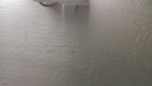 Умное освещение в курятнике.