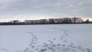 РЫБАЛКА НА САМАРКЕ. РАЙОН МЯСОКОМБИНАТА