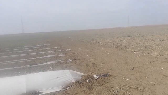 133 Дыня на 29 Марта (2020)