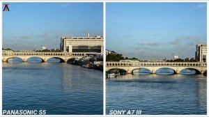 Panasonic S5 VS Sony A7 III CAMERA FOOTAGE COMPARISON | Lumix S5