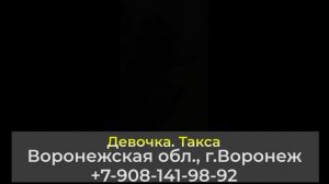 Пропала собака! Девочка, такса  Воронежская обл., г.Воронеж