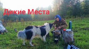 Рыбалка в диких местах. Ночь в избушке на берегу реки. Собираем грибы.
