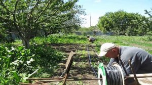 Как за 4 часа уложить полкилометра капельной ленты