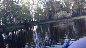 Таёжные берега р. Ампута ХМАО Радужный