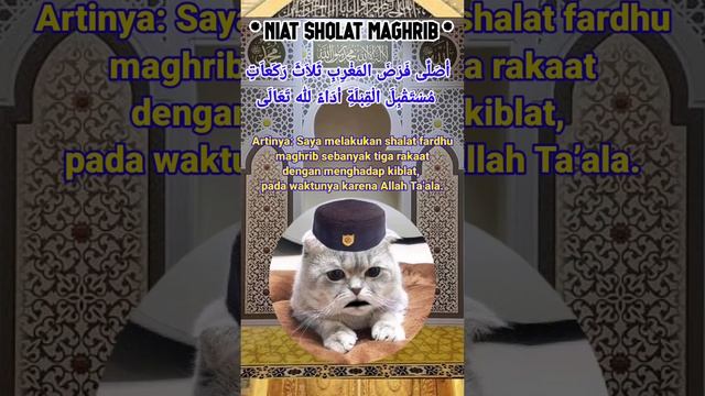 Niat sholat maghrib #doa #kucinglucu #doaislami #niatsholat