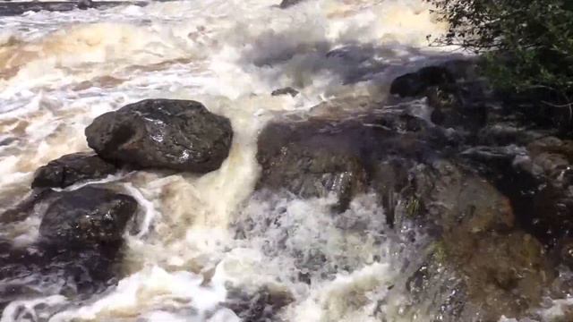 Карелия.  Ляскеля.  Большая вода на порогах реки Янисйоки.