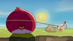 Angry Birds Toons Season 1 | Ep. 11 to 15