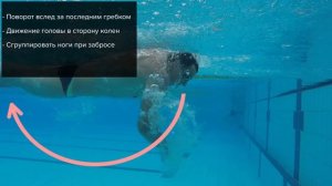 КАК ДЕЛАТЬ ПОВОРОТ? СКОРОСТНОЙ ПОВОРОТ В КРОЛЕ @Swimmate.ru