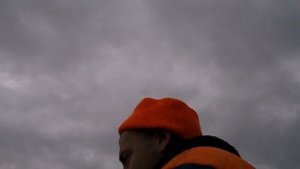 Ваба на волка, первые шаги.