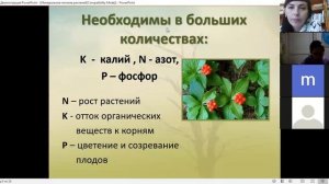 Минеральное питание растений