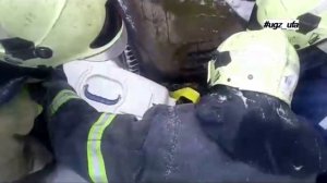 В Уфе поймали дикую рысь 30 января 2020