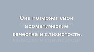 На что клюет плотва! Насадка для плотвы! Как приготовить насадку для плотвы!