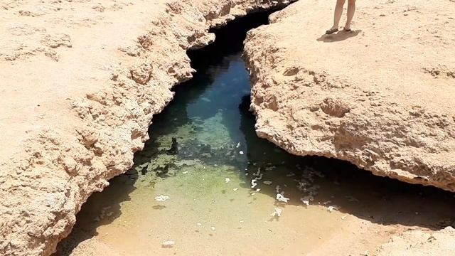 Шарм Эль Шейх. Экскурсия в заповедник Рас Мохаммед за 15$. смотреть онлайн