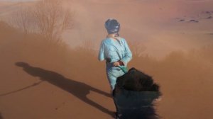 Где находится самое большое болото в мире?