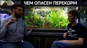 Чем опасен перекорм