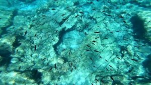 Кипр Айя-Напа & Протарас - какие пляжи лучше? Что посмотреть на Кипре на машине? Лучшие пляжи Кипра