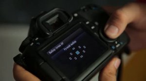 Фотография для начинающих. Урок 5: фокусировка
