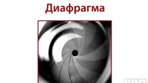Основные настройки зеркального фотоаппарата. ЭКСПОЗИЦИЯ. Все просто!