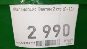 БАУЦЕНТР.ОБЗОР ОРХИДЕЙ /04.09.23//