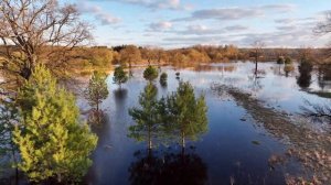 Сураж - река Ипуть весенний разлив