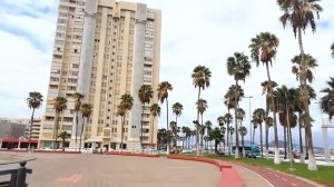 Канарские острова Лас Пальмас Жизнь на Канарах