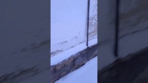брошенная квартира в многоквартирном доме,НПС г.Булаево,как с такими собственниками бороться?