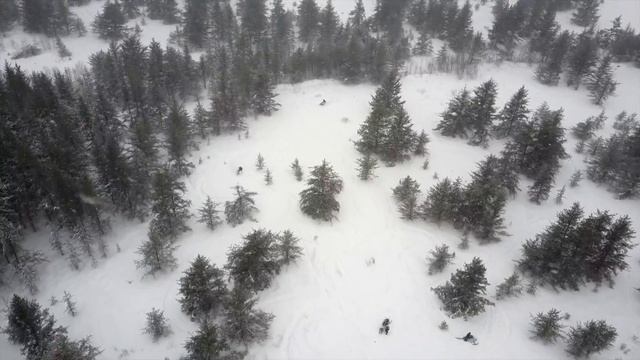 2017 Polaris Switchback Assault 800 Backyard Boondock #2 смотреть онлайн