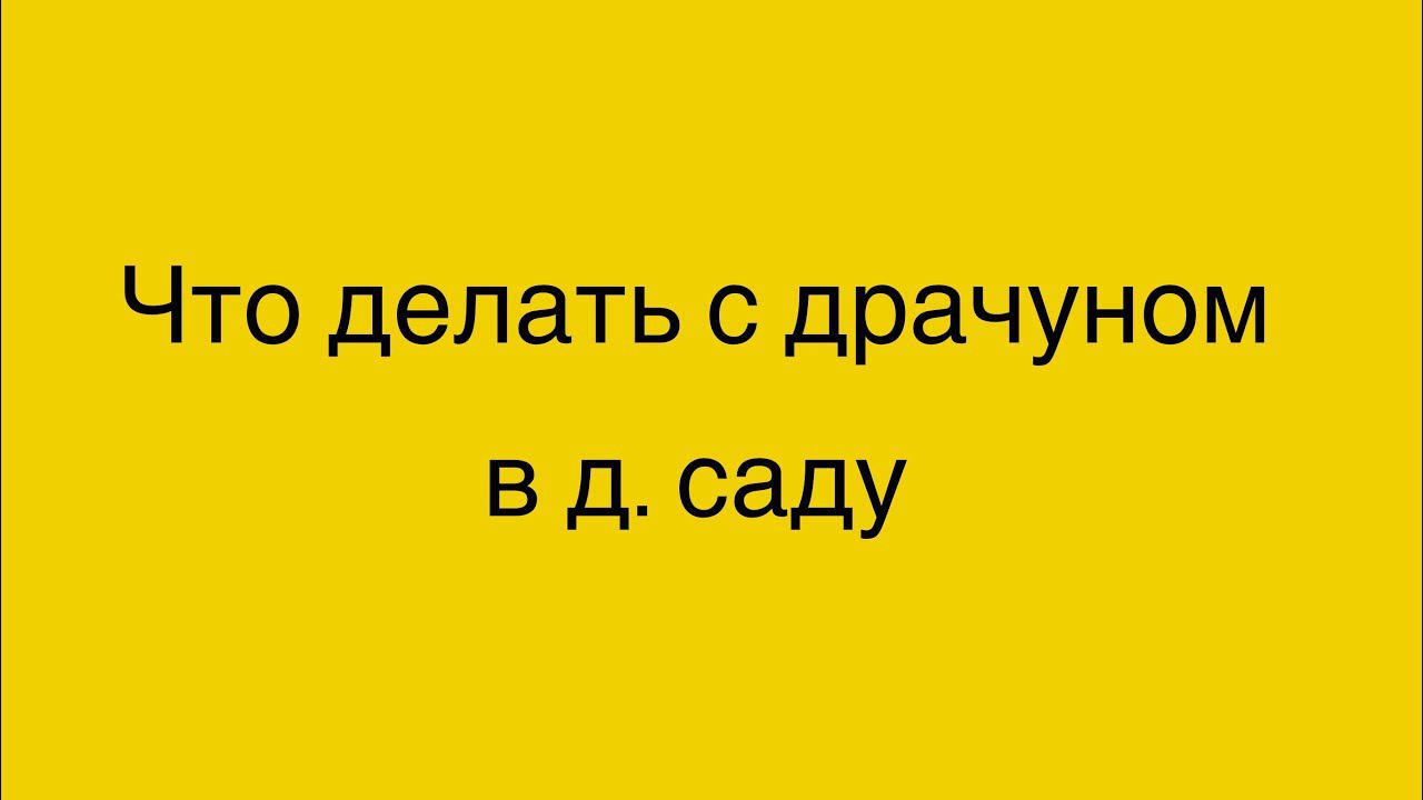 Что делать с драчуном в детском саду? 3,9