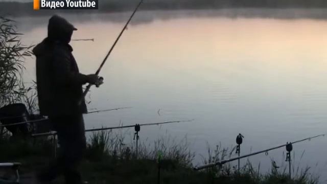 Запрет на ловлю рыбы и раков в ЛНР. смотреть онлайн