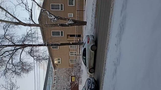 Сказочный лес??? в центре Нижнего Новгорода, всем привееет﻿, мои дорогие❤❤❤ смотреть онлайн