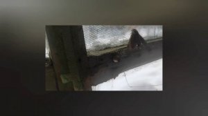 Разбираем старый дачный дом. День 3. Освобождаем дом от старой мебели.