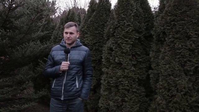 Сергей  История иммиграции в Польшу