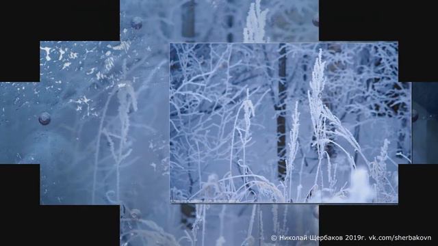 Изморозь  Frost