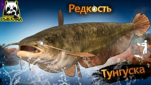 PR4 ПЛАВНЫЕ ПОКЛЕВКИ РЕДКОСТЕЙ С НЕОЖИДАННОСТЯМИ #рр4
