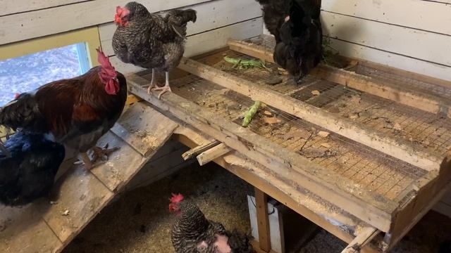 Вот и лето прошло! смотреть онлайн