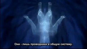 Средний прилив. Биодинамика.