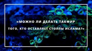 71. Ислам | «Можно ли делать такфир (обвинить в неверии) того, кто оставляет столпы Ислама?»