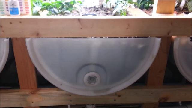 What is Aquaponics? - The ultimate form of food production? смотреть онлайн