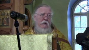 Проповедь на 3-ю неделю по Пятидесятнице (21 июня 2015 года). Дмитрий Смирнов
