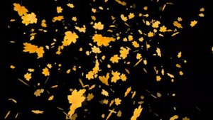 Футаж кленовый листопад с прозрачным фоном к 1 сентября 004