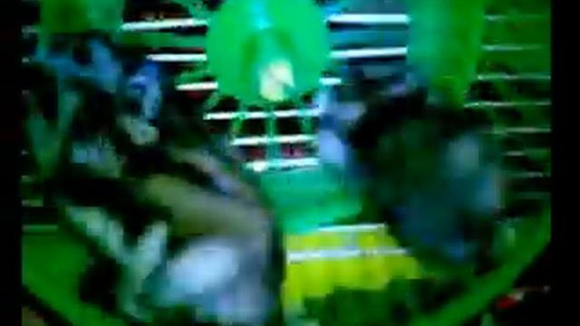 Веселые хомячки 2 смотреть онлайн