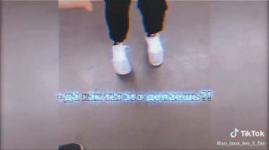 кошка Лана её друзья крутые видео из тик тока